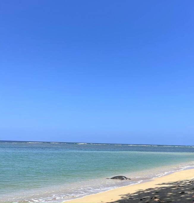 Hummingbird Oceanfront Cottage Hau'ula Экстерьер фото