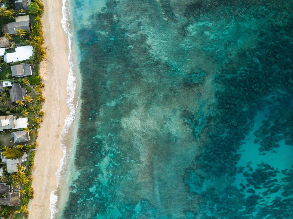 Hummingbird Oceanfront Cottage Hau'ula Экстерьер фото